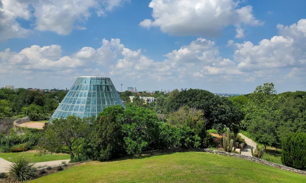 The glass cones of the Lucile Halsell Conservatory rising above trees and a sloping lawn at the San Antonio Botanical Garden