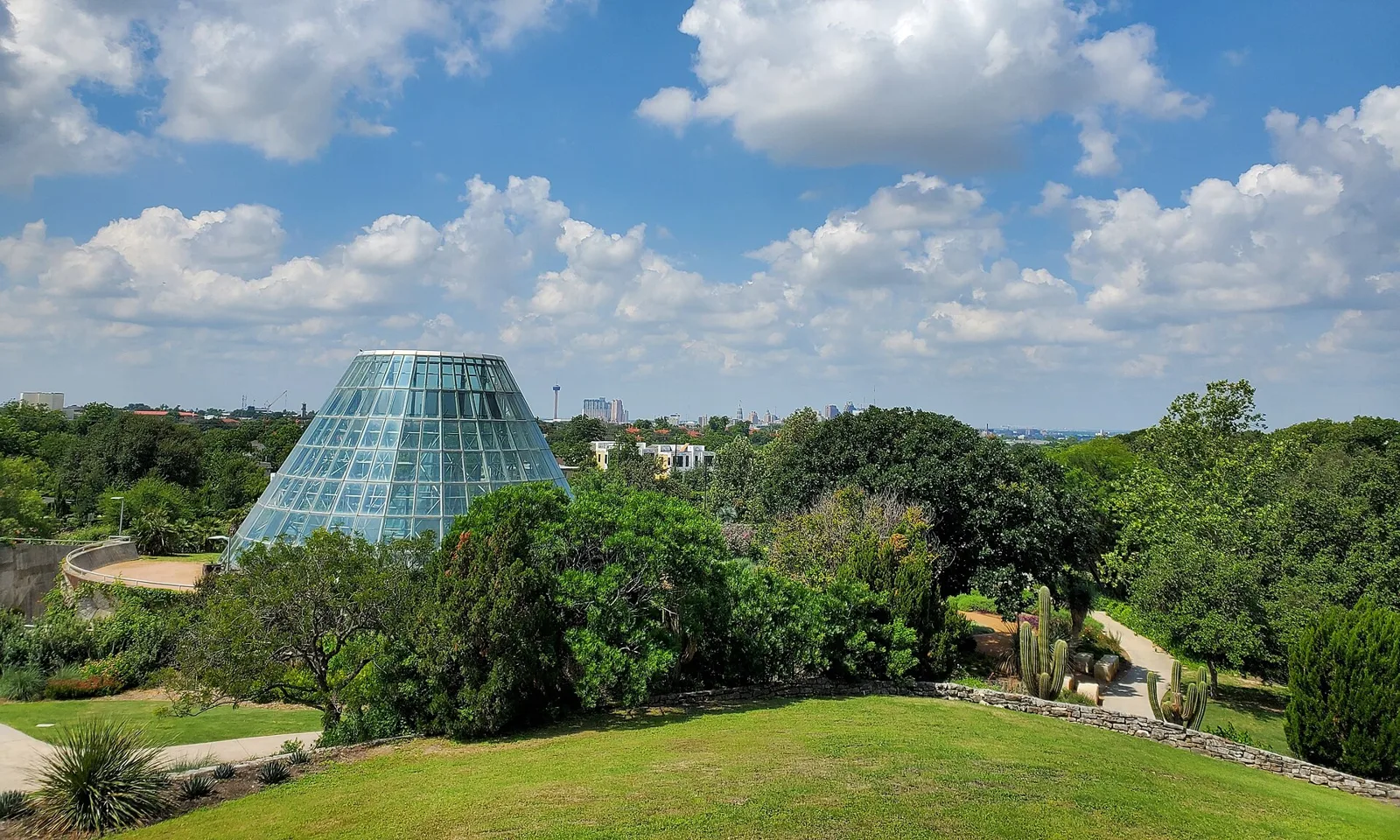 Illuminate at the San Antonio Botanical Garden, a native plant garden, and where to eat