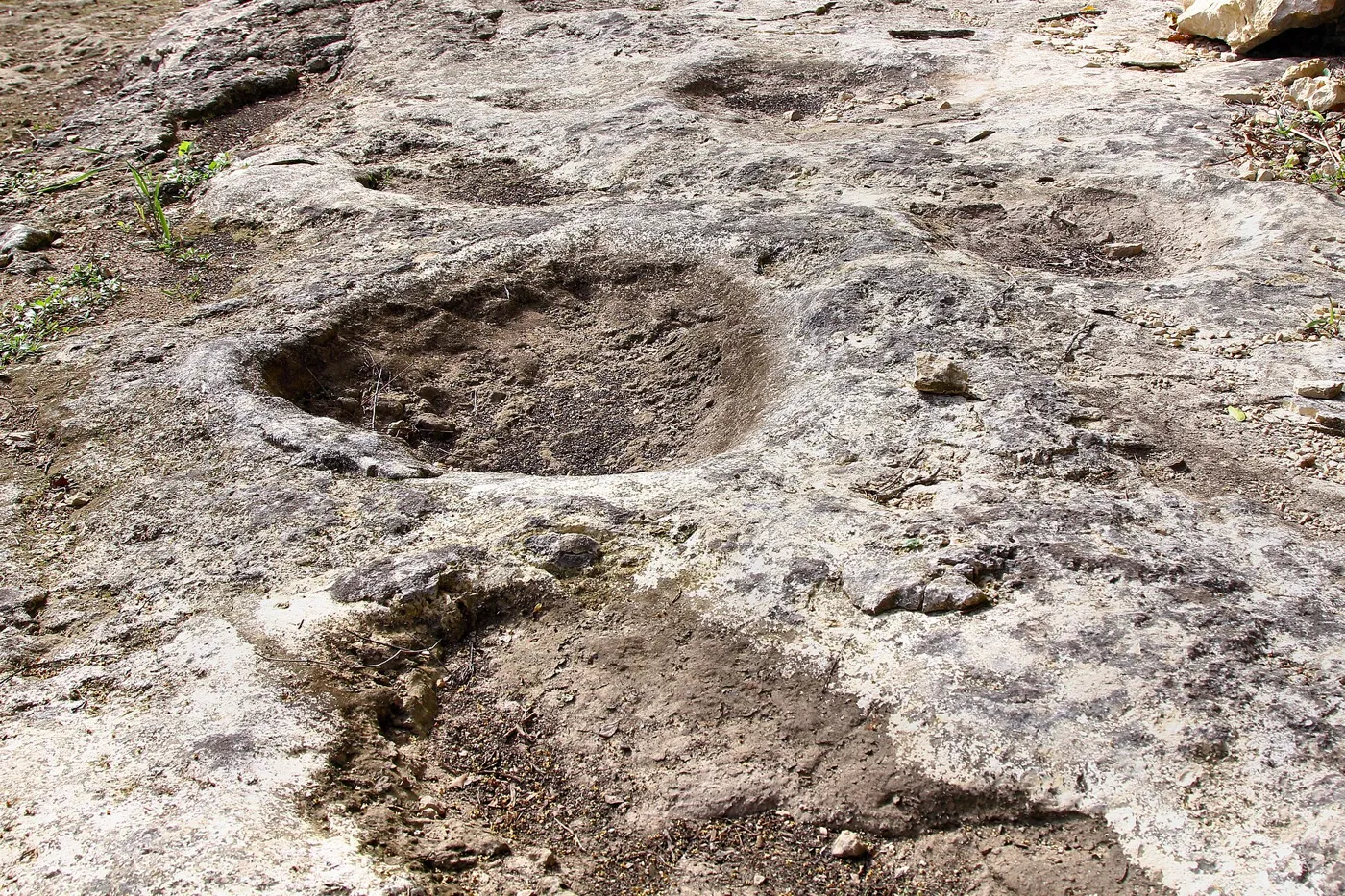 Large rounded footprint hollows pressed into a pale limestone rock surface